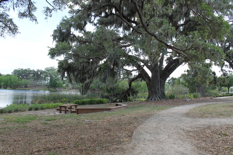 Oakland Park Picnic Area